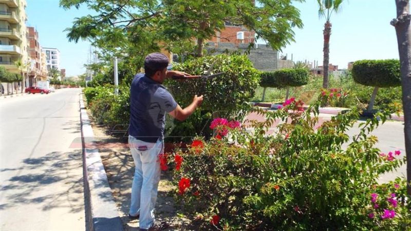 مدينة بلطيم