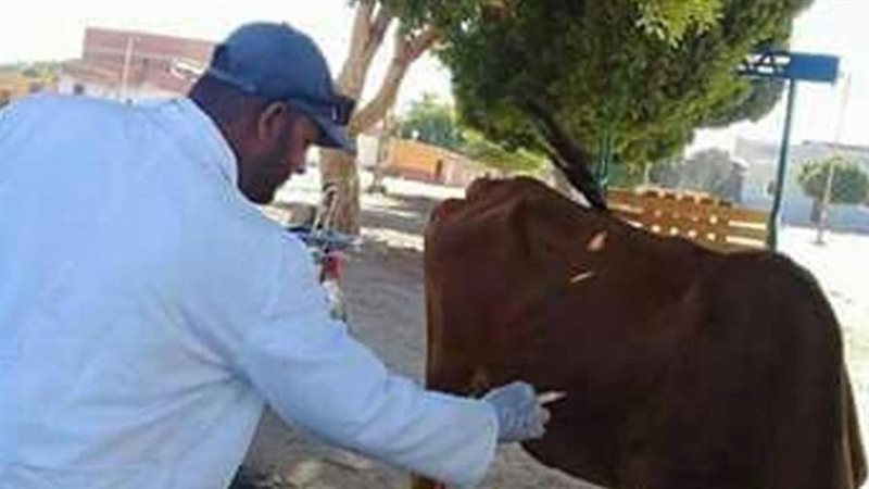 تحصين ضد مرض الحمى