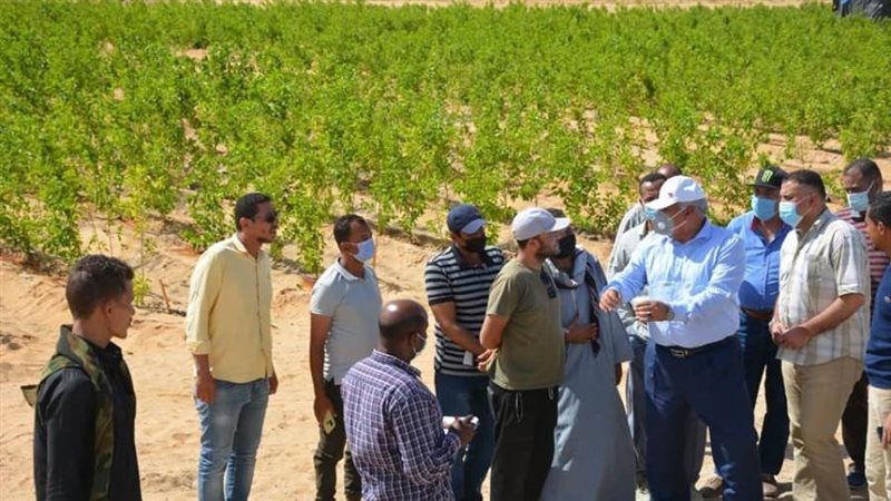 اللواء الزملوط يتفقد