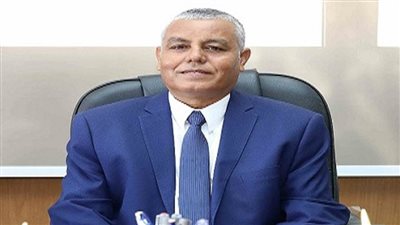 رئيس جامعة جنوب الوادي: 