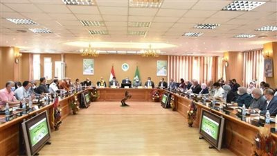 محافظ الشرقية يشدد على تفعيل دور لجان المتابعة الميدانية 