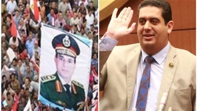 نائب بالشيوخ: ثورة 30 يونيو أعادت لمصر هويتها الوطنية والحضارية