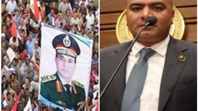 برلمانى: ثورة 30 يونيو أثبتت أن شعب مصر لا يمكن أن ينكسر