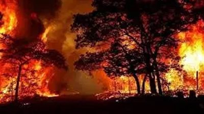 بايدن يعلن عن خطوات دائمة لمواجهة حرائق الغابات في غرب البلاد