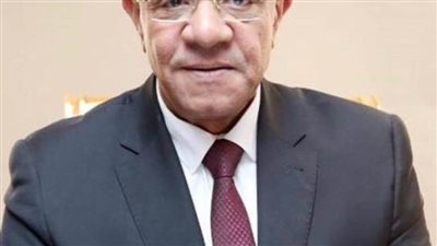 أمين «مستقبل وطن» بالجيزة: ثورة ٣٠يونيو أخرجت مصر من النفق المظلم 