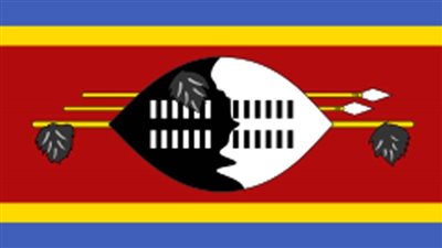 أعمال الشغب المناهضة للملكية في إيسواتيني تسفر عن سقوط قتلى