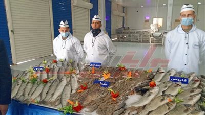 مزرعة غليون السمكية أول مشروع قومي أنشأه الرئيس السيسي بكفر الشيخ