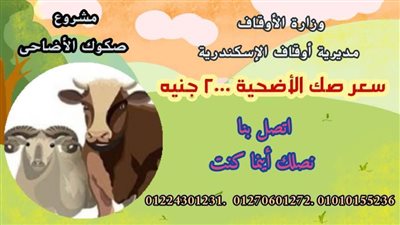 أوقاف الإسكندرية تطلق مشروع صكوك الأضاحي