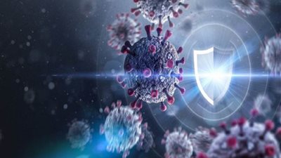 دخول سلالة كورونا 