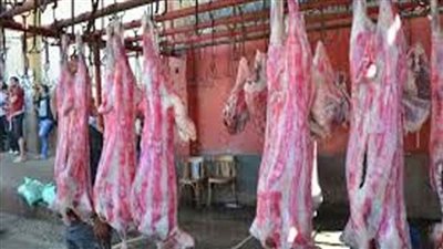 فتح المجازر أمام المواطنين لذبح الأضاحي مجانًا