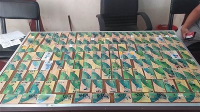 ضبط 148 بطاقة تموينية مخبأة داخل مخبز بلدي بالفيوم
