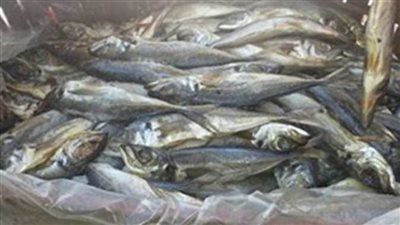 مباحث التموين تضبط 16 طن زيوت ودواجن وأسماك فاسدة قبل ترويجها بالأسواق