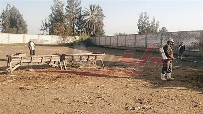 تطهير أسواق المواشي