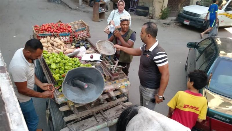 بوابة روز اليوسف