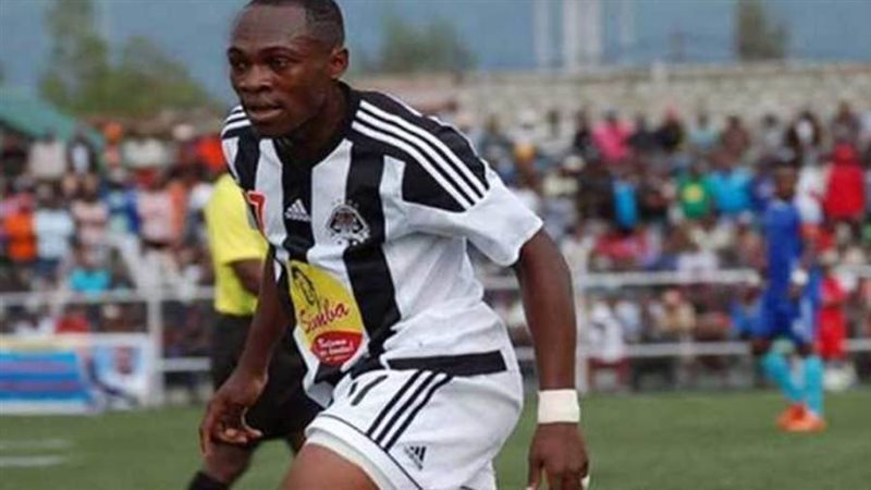 جاكسون موليكا