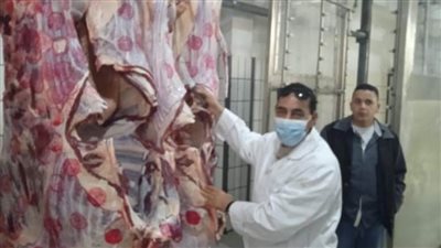 محافظ الإسكندرية: فتح المجازر الحكومية أمام أضاحي المواطنين بالمجان في العيد