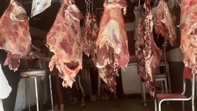  حملات مكثفة لبيطري المنيا على محلات الجزارة المخالفة