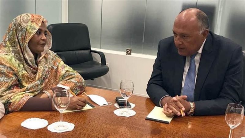 سامح شكري ومريم الصادق