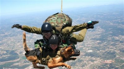 الكلاب العسكرية الروسية تقفز بمظلات من ارتفاع 4000 متر