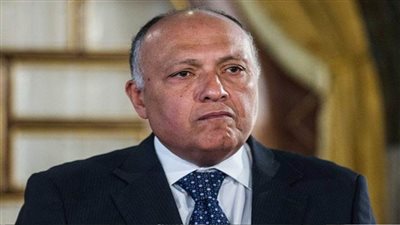 شكري يشرح لمندوب فرنسا رئيس مجلس الأمن أبعاد الموقف المصري تجاه سد النهضة