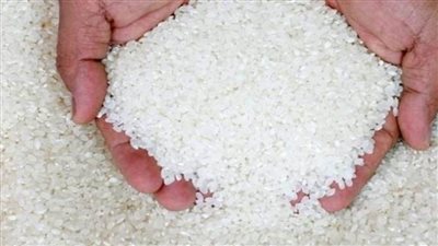 غرفة صناعة الحبوب: بدء توريد الدفعة السابعة من الأرز المحلي لصالح 