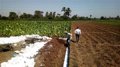 محافظ المنيا: تحرير 150 مخالفة بأبوقرقاص وإزالة 13 حالة تعد على أملاك الدولة بملوي