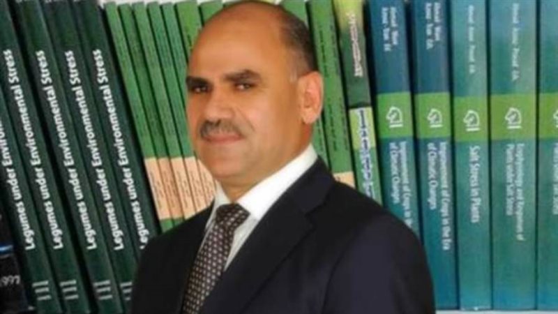 الدكتور محمد محجوب