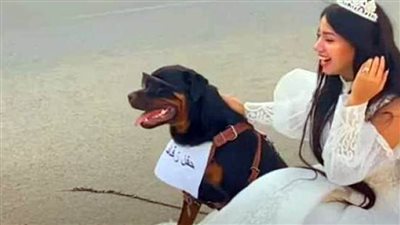 بلاغ جديد.. ضد البلوجر هبة مبروك لنشرها خبر زواجها من كلب