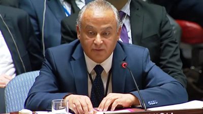 ممثل تونس بمجلس الأمن: يحب التوقف عن اتخاذ إجراءات أحادية الجانب والوصول لاتفاق ملزم وحاسم