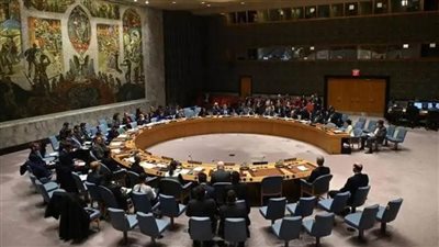 تفاصيل كلمات عدد من الدول في جلسة مجلس الأمن حول السد الإثيوبي