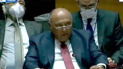 شكري: اقترحنا تمويل بناء سد النهضة وإمداد أديس أبابا بالكهرباء رمزًا للصداقة