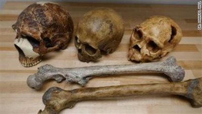 عاجل|  دراسة تكشف تطور الإنسان عبر الأزمان وتغيرات المناخ