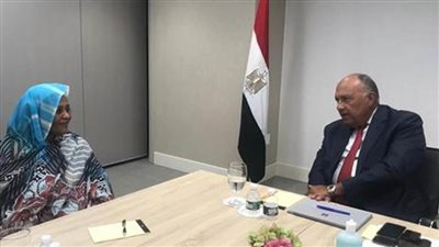 تنسيق وثيق ومستمر بين مصر والسودان