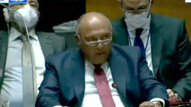 وزير الخارجية سامح