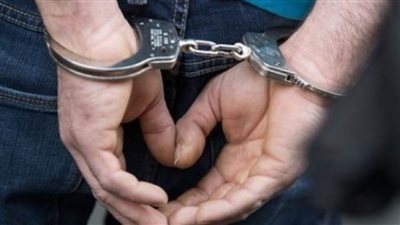 بينهم رضيع.. قرار عاجل ضد سيدة تركت أبناءها الأربعة داخل حديقة بالمنصورة