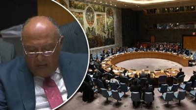 تصريح مهم لوزير  الخارجية بشأن سد النهضة