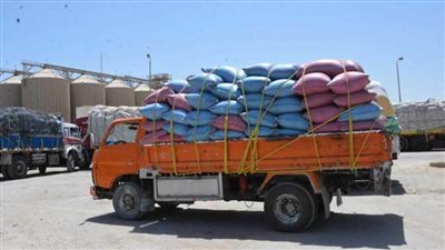 انتهاء موسم توريد محصول القمح بإجمالي 373 ألف طن بالمنيا