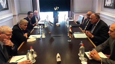 شكري يؤكد لنظيره الإسرائيلي ضرورة التحرك العاجل نحو حلحلة الجمود بين الفلسطينيين والإسرائيليين