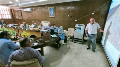 شمال سيناء: تطوير 5 مناطق عشوائية في العريش بتكلفة 225 مليون جنيه