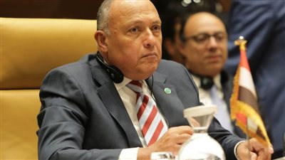 سامح شكري: وزراء خارجية أوروبا يقدرون مرونة مصر في إدارتها سد النهضة