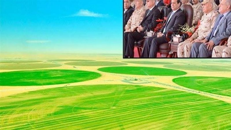 الرئيس السيسي يصدر