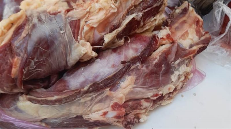 جانب من المضبوطات