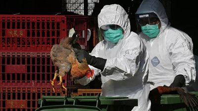 الصين إقليم سيتشوان يسجل إصابة بشرية بسلالة 