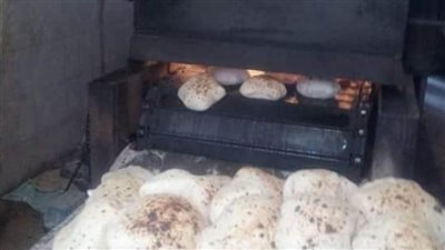  طرح لحوم ضأن حي بسعر 65 جنيهاً للكيلو ومجمدة 95 جنيها