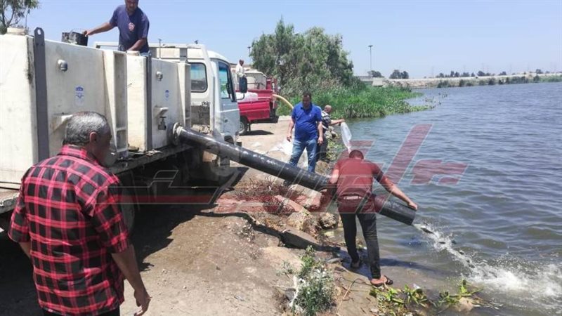 إلقاء الزريعة