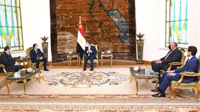 الحريري: مصر تسعى دائما لمصلحة لبنان ولم أناقش 