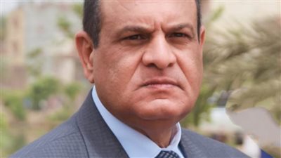 محافظ البحيرة: 