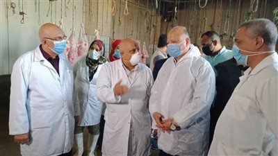 محافظ القاهرة: توفير اللحوم والسلع والمستلزمات خلال العيد