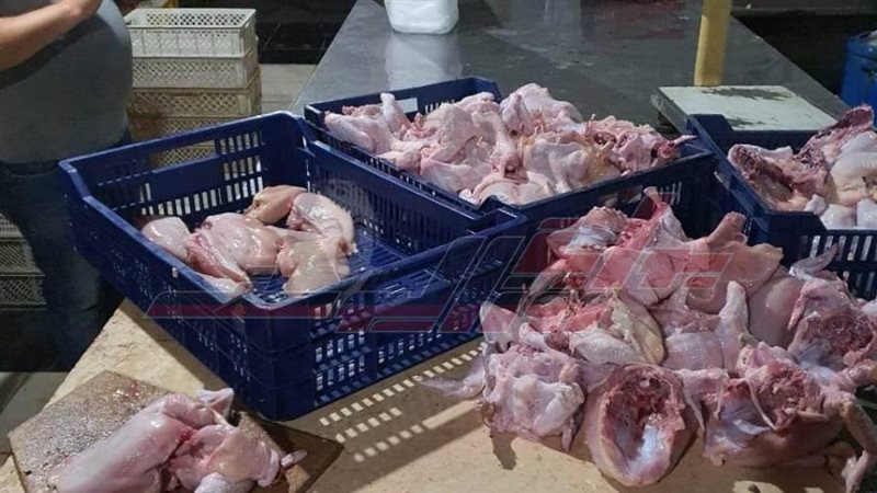 الدواجن المضبوطه