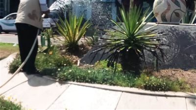 محافظ الإسكندرية يكلف إدارة تجميل المدينة برفع كفاءة الحدائق والمسطحات الخضراء